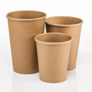 Disposable kraft paper cup