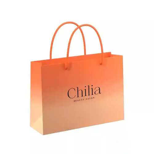 Read more about the article What are the customization options and application scenarios for paper handbags?  